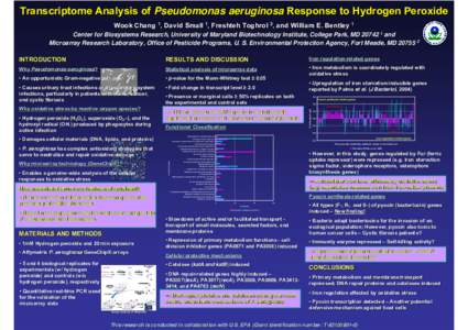 Transcriptome Analysis of Pseudomonas aeruginosa Response to Hydrogen Peroxide Wook Chang 1, David Small 1, Freshteh Toghrol 2, and William E. Bentley 1 Center for Biosystems Research, University of Maryland Biotechnolog