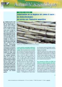 IRD fiche scientifique n°252 - Valorisation de la bagasse de canne à sucre : les biotechnologies au service de l’industrie papetière