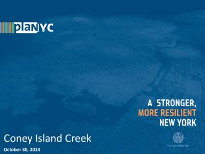 Coney Island Creek 1October 30, 2014 CONFIDENTIAL Recovery, Rebuilding, and Resiliency In the aftermath of Sandy, the City set up a climate resiliency task force…