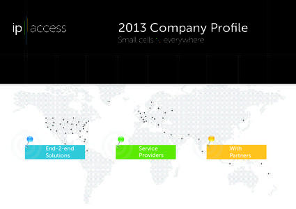 2013 Company Profile  End-2-end Solutions  Service