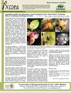 Bissea, Vol.6 Issue 2 June/2012 Bissea is the peer-reviewed newsletter published by the Conservation team of the National Botanic Garden of Cuba. Its main objective is to report on the efforts that are being carried out 