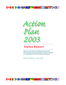 Microsoft Word - Action Plan Status Report Eng.doc