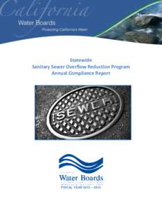 Statewide Sanitary Sewer Overflow Reduction Program Annual Compliance Report FISCAL YEAR 2012 – 2013