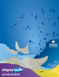 Stingray / Bluespotted stingray / Fish / Dasyatis / Cownose ray