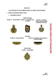 Annex 40E - Illustrations of Royal Marine Badges of Rank & Other Insignia