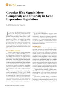 RNA splicing / Gene expression / Spliceosome / Molecular biology / Intron / Messenger RNA / Long non-coding RNA / Non-coding RNA / Alternative splicing / RNA / Biology / Genetics