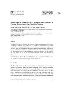 Genetics / Phylogenetics / Ribosomal RNA / Computational phylogenetics / Platypezoidea / Megaselia scalaris / Phoridae / Aschiza / Maximum parsimony / Phyla / Protostome / Flies