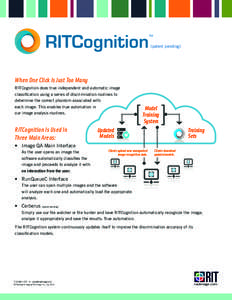 RITCognition  TM (patent pending)