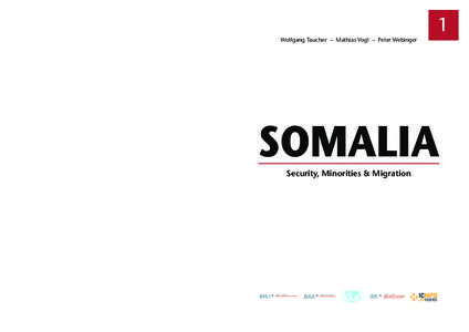 Somali Civil War / Islamic terrorism / Somalia / Islamist groups / Al-Shabaab / Somali people / Outline of Somalia / Contemporary history / Military history / Africa