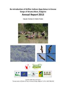 Re-introduction of Griffon Vulture (Gyps fulvus) in Kresna Gorge of Struma River, Bulgaria