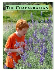 T HE C HAPARRALIAN August 31, 2009 Volume 6, Issue 2  The Chaparralian #31