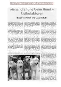Bereitgestellt von: Hundeschule Hunde 1x1 in Datteln, Kreis Recklinghausen   
