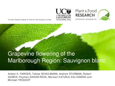 The New Zealand Institute for Plant & Food Research Limited  Grapevine flowering of the Marlborough Region: Sauvignon blanc Amber K. PARKER, Tobias SCHULMANN, Andrew STURMAN, Robert AGNEW, Peyman ZAWAR-REZA, Marwan KATUR