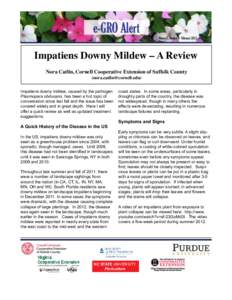 Downy mildew / Mildew / Plasmopara obducens / Tree of life / Pseudoperonospora cubensis / Water moulds / Biology / Impatiens