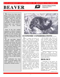 MANAGEMENT GUIDELINES IN BRITISH COLUMBIA Province of British Columbia BEAVER  Ministry of Environment