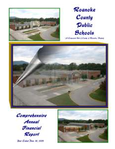 Roanoke County Public Schools (A Component Unit of County of Roanoke, Virginia)