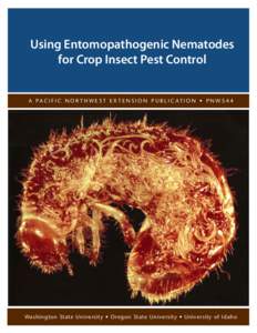 Using Entomopathogenic Nematodes for Crop Insect Pest Control A PA C I F I C N O R T H W E S T E X T E N S I O N P U B L I C AT I O N • P N W[removed]Washington State University • Oregon State University • University