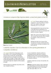 L EAFMINES N EWSLETTER  Newsletter 24 Date: July[removed]Liriomyza congesta (Dip:Agromyzidae)-a new host plant in the UK