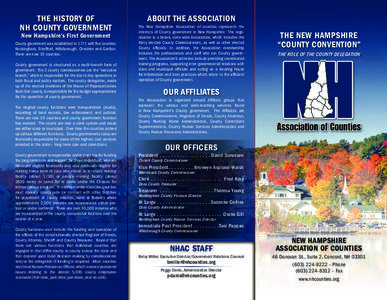 THE HISTORY OF NH COUNTY GOVERNMENT New Hampshire’s First Government County government was established in 1771 with five counties: Rockingham, Strafford, Hillsborough, Cheshire and Grafton.