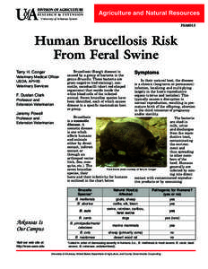 Human Brucellosis Risk From Feral Swine - FSA8013