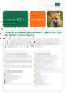 Flyer mammut FOX 2.0 Fr_enterprise_Win10_Numero max payement_02022016.indd