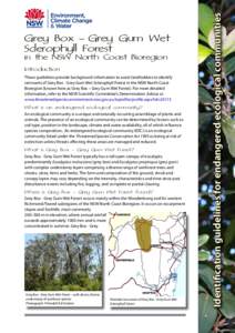 Grey Box - Grey Gum Wet Sclerophyll Forest in the NSW North Coast Bioregion– identification guidelines for the endangered ecological communities