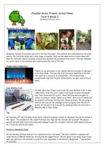 Cheddar Grove Primary School News Term 5 Week 2 (Wednesday 22nd AprilReception Visit to the Zoo