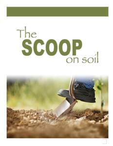 1  Table of Contents Scoop on Soil ......................................................................................................................... 3 Vocabulary List ............................................
