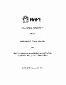 NAPE COLLECTIVE AGREEMENT between CARMANVILLE TOWN COUNCIL