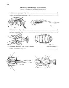 .16 CRUSTACEA: KEY TO SOME M.AJOR ORDERS Chester J. Stojanovich and Harold George Scott