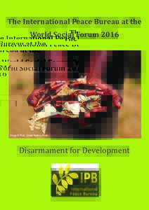 The International Peace Bureau at the World Social Forum 2016 Image © Flickr, United Nations Photo  Disarmament for Development