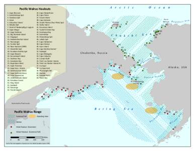 Punuk Islands / Dezhnev / Geography of Alaska / Bering Sea / Cape Dezhnev / Cape Vankarem