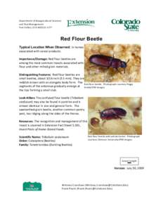 Department of Bioagricultural Sciences and Pest Management Fort Collins, CCO[removed]Red Flour Beetle Typical Location When Observed: In homes