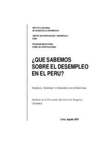 INSTITUTO NACIONAL DE ESTADISTICA E INFORMATICA CENTRO DE INVESTIGACIÓN Y DESARROLLO (CIDE) PROGRAMA MECOVI-PERU FONDO DE INVESTIGACIONES