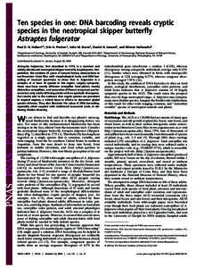 Astraptes / Astraptes fulgerator / DNA barcoding / Hampea / Licania / Lonchocarpus / Celtis / Styrax / Byttneria / Biology / Genetics / Medicinal plants