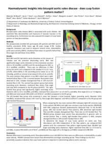 Haemodynamic insights into bicuspid aortic valve disease - does cusp fusion pattern matter? Malenka M Bissell*, Aaron T Hess*, Luca Biasiolli*, Steffan J Glaze*, Margaret Loudon*, Alex Pitcher*, Anne Davis*, Michael # # 