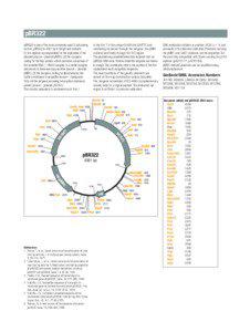 pBR322 pBR322 is one of the most commonly used E.coli cloning vectors. pBR322 is 4361 bp in length and contains: