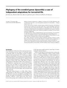 Phylogeny of the ovenbird genus Upucerthia: a case of independent adaptations for terrestrial life Blackwell Publishing Ltd