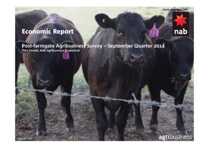 more give, less take  Economic Report Post-farmgate Agribusiness Survey – September Quarter 2014 Phin Ziebell, NAB Agribusiness Economist