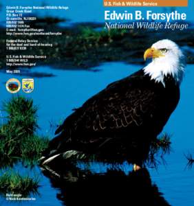 Edwin B. Forsythe National Wildlife Refuge Great Creek Road P.O. Box 72 Oceanville, NJ[removed][removed] Fax