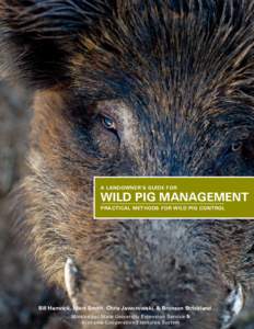 Pigs / Meat / Razorback / Domestic pig / Wild boar / Feral / Hunting / Wild pig / Livestock / Zoology / Biology / Agriculture