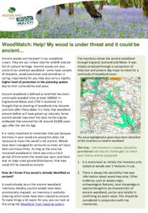 WTPL  WoodWatch: Help! My wood is under threat and it could be ancient... Ancient woods are the jewel in our woodland crown. They are our richest sites for wildlife and are