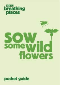 BBC Breathing Places Sow Some Wild Flowers Booklet