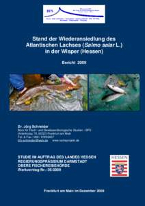 Wiederansiedlung des Atlantischen Lachses (Salmo salar) in der Wisper (Hessen)  BFS 2008
