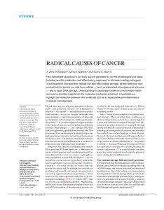 Apoptosis / Programmed cell death / Tumor suppressor genes / Immune system / Caretaker gene / DNA repair / Nitric oxide / Hepatocellular carcinoma / P53 / Biology / Medicine / Carcinogenesis