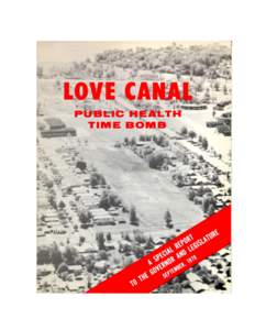 Report prepared by: THE OFFICE OF PUBLIC HEALTH Roger C. Herdman, M.D., Director Love Canal Health Coordinator Glenn E. Haughie, M.D., Deputy Director of Public Health