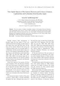 Bull. Natl. Mus. Nat. Sci., Ser. A, 36(4), pp. 101–106, December 22, 2010  New Spider Species of the Genera Masirana and Cybaeus (Araneae,