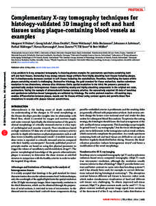 protocol  Complementary X-ray tomography techniques for histology-validated 3D imaging of soft and hard tissues using plaque-containing blood vessels as examples