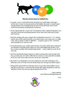 What You Need to Know for Treibball Class 1. In weeks 1 and 2, work CAN be done on-leash, but it works better if the dog is entirely free to move (in close proximity to the handler). By week 3, I would expect enough dist