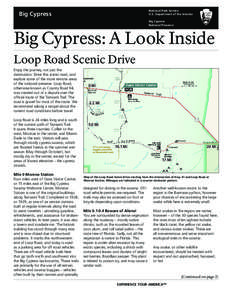 Flooded grasslands and savannas / Tamiami Trail / Cypress / Collier County /  Florida / Monroe Station / Florida Trail / Tropical hardwood hammock / Geography and ecology of the Everglades / Picayune Strand State Forest / Florida / Everglades / Big Cypress National Preserve